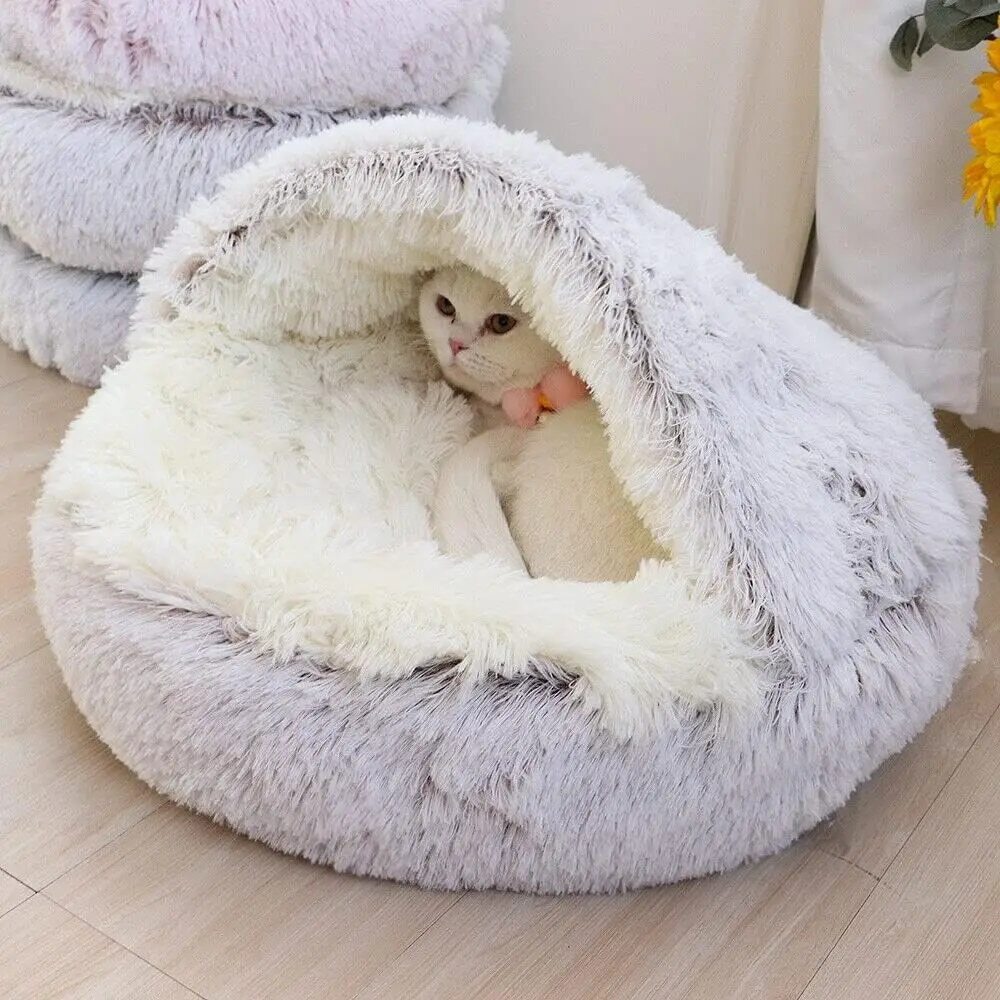 The Power of Cat Bed